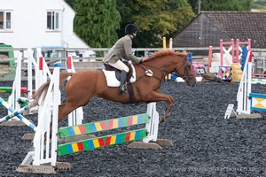 Class 5 - Fences not above 2'6